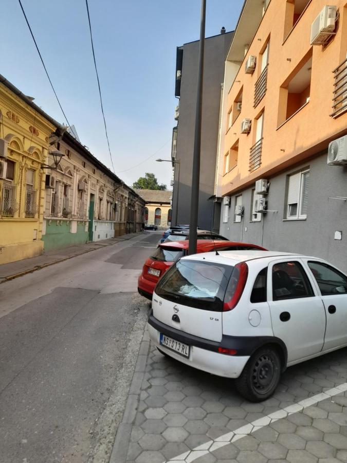 Nikola Ns Lägenhet Novi Sad Exteriör bild