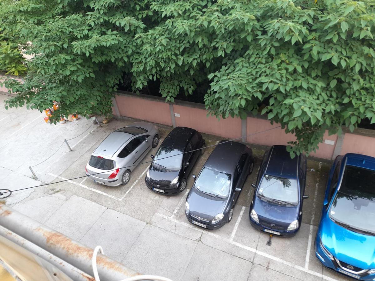 Nikola Ns Lägenhet Novi Sad Exteriör bild